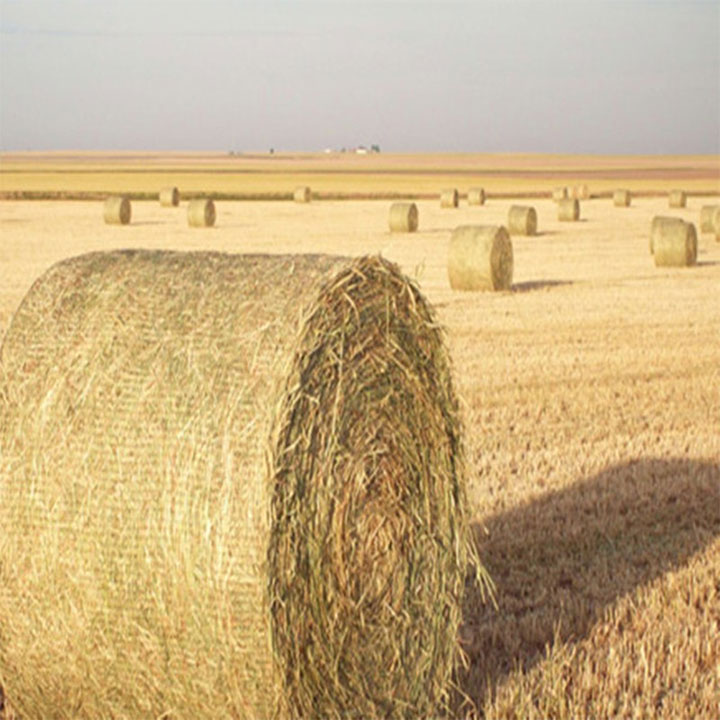 Filet d'emballage de balles biodégradables en PEHD pour l'agriculture